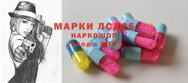 хмурый Ельня