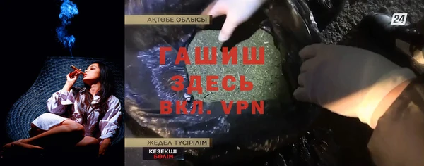 хмурый Ельня