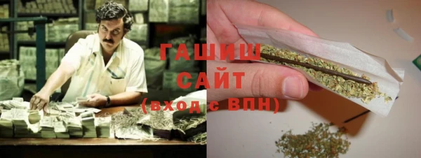 хмурый Ельня