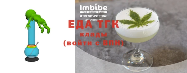 хмурый Ельня