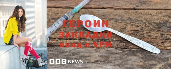 хмурый Ельня