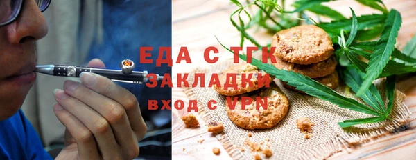 хмурый Ельня