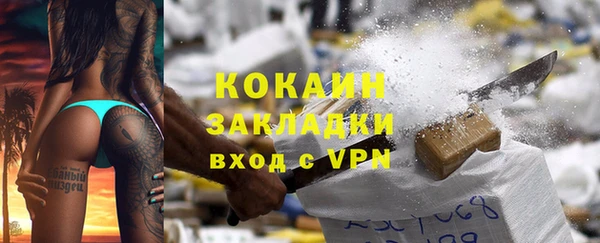 хмурый Ельня