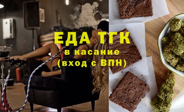 хмурый Ельня