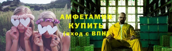 хмурый Ельня