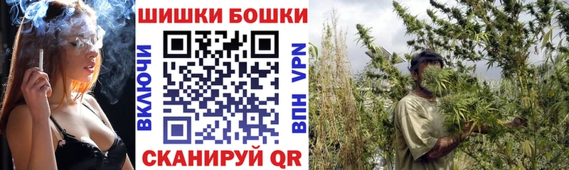магазин продажи   Ростов  Каннабис MAZAR 